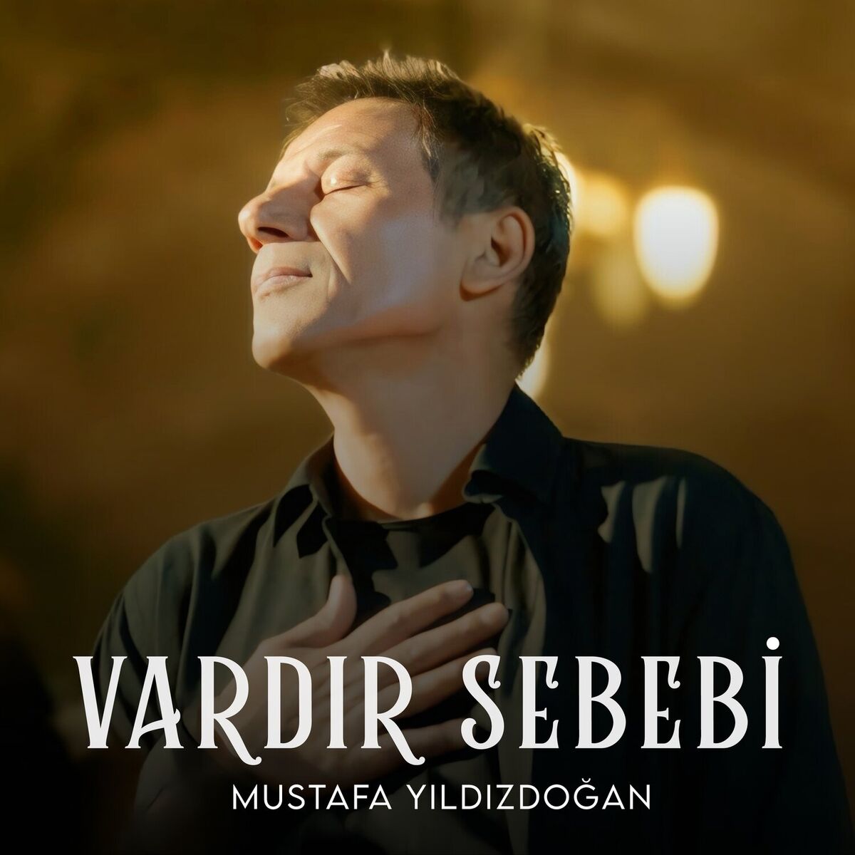 Album cover of Vardır Sebebi