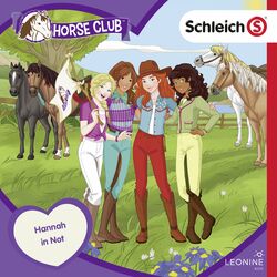 Cover of Folge 18: Hannah in Not