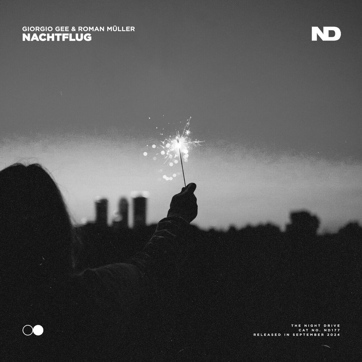 Album cover of Nachtflug