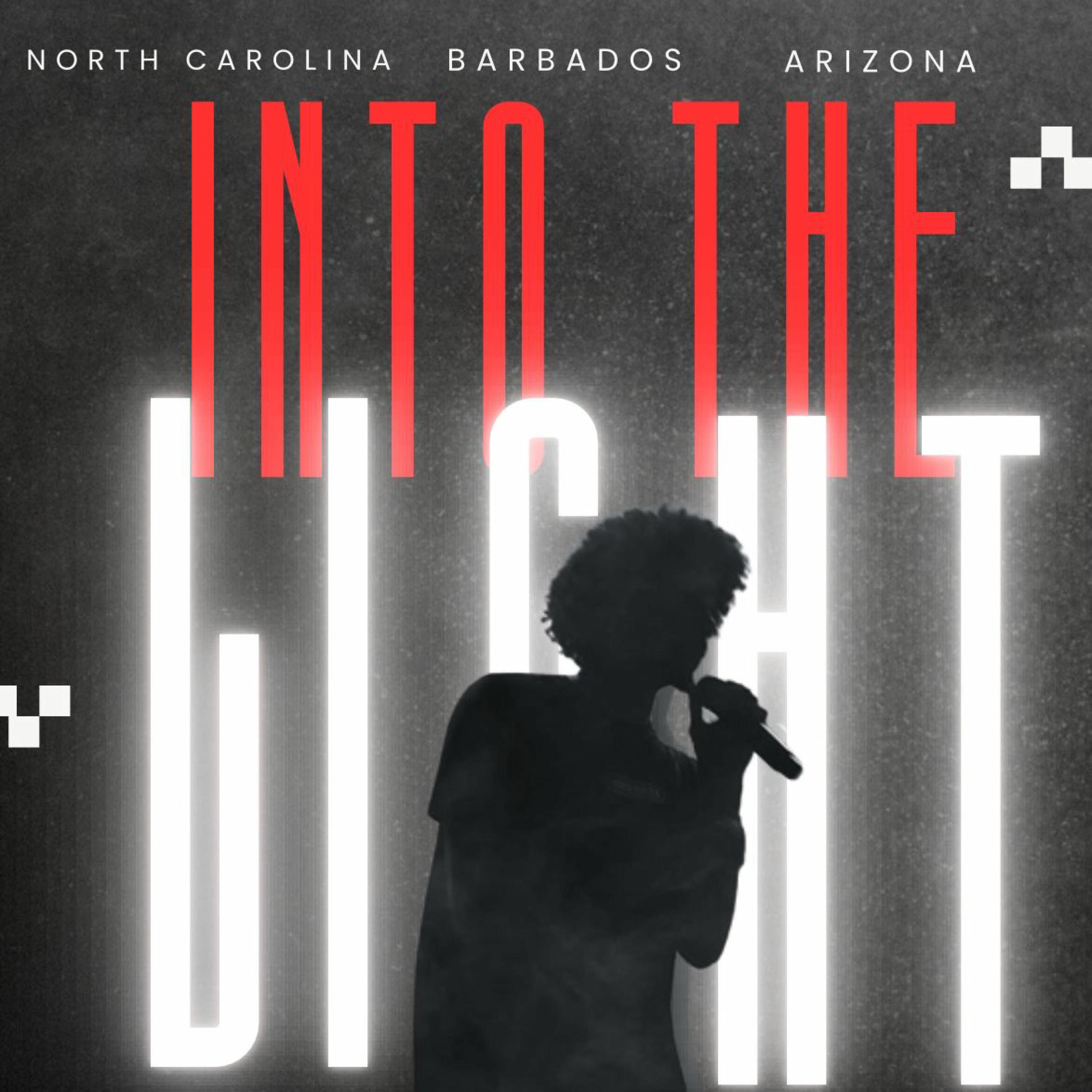 Album cover of Into The Light