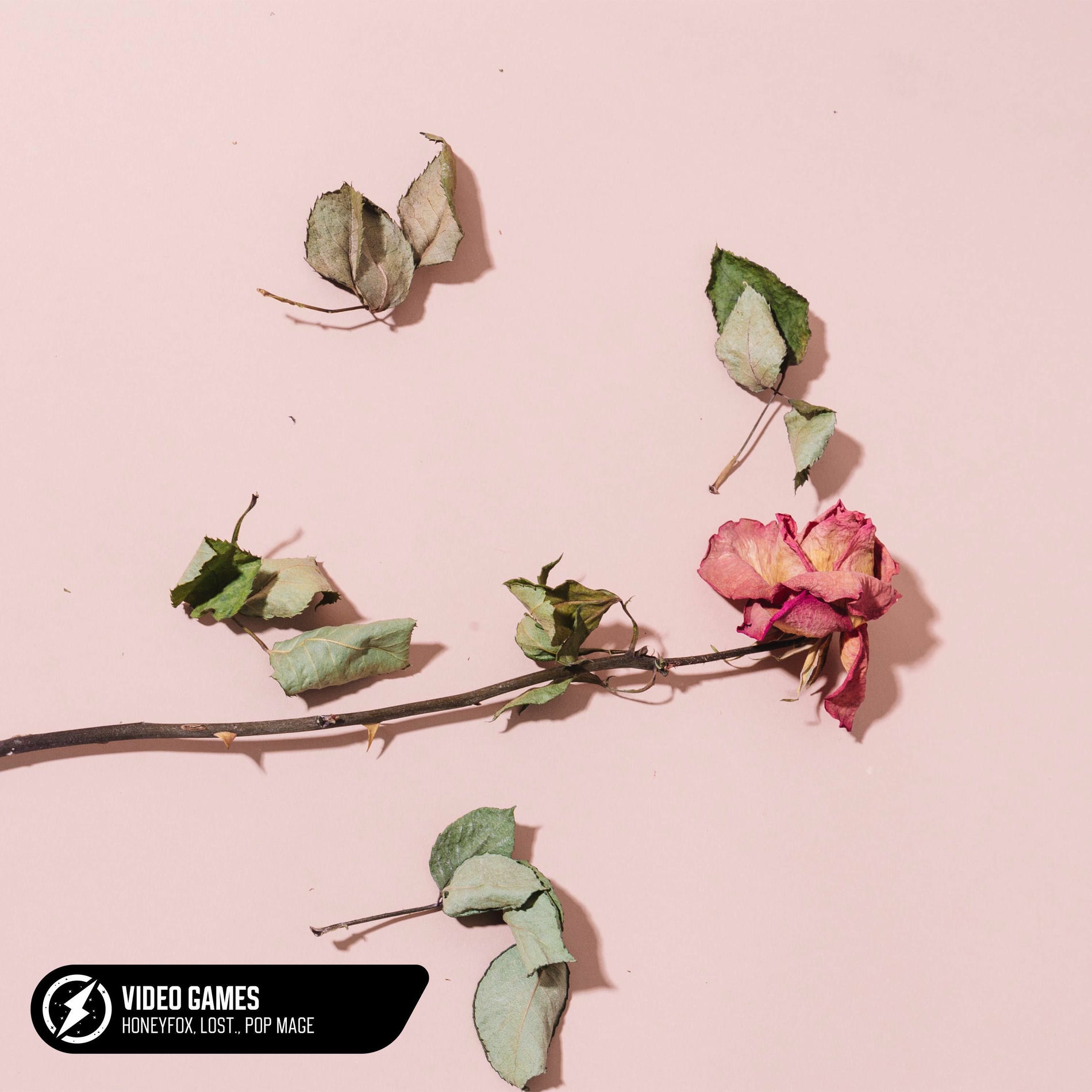 Album cover of Video Games (Acoustic)