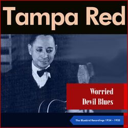 Cover of Worried Devil Blues (The Bluebird Recordings 1934 - 1935)