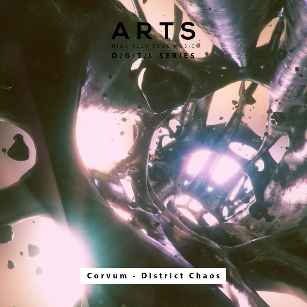 Picture of District Chaos