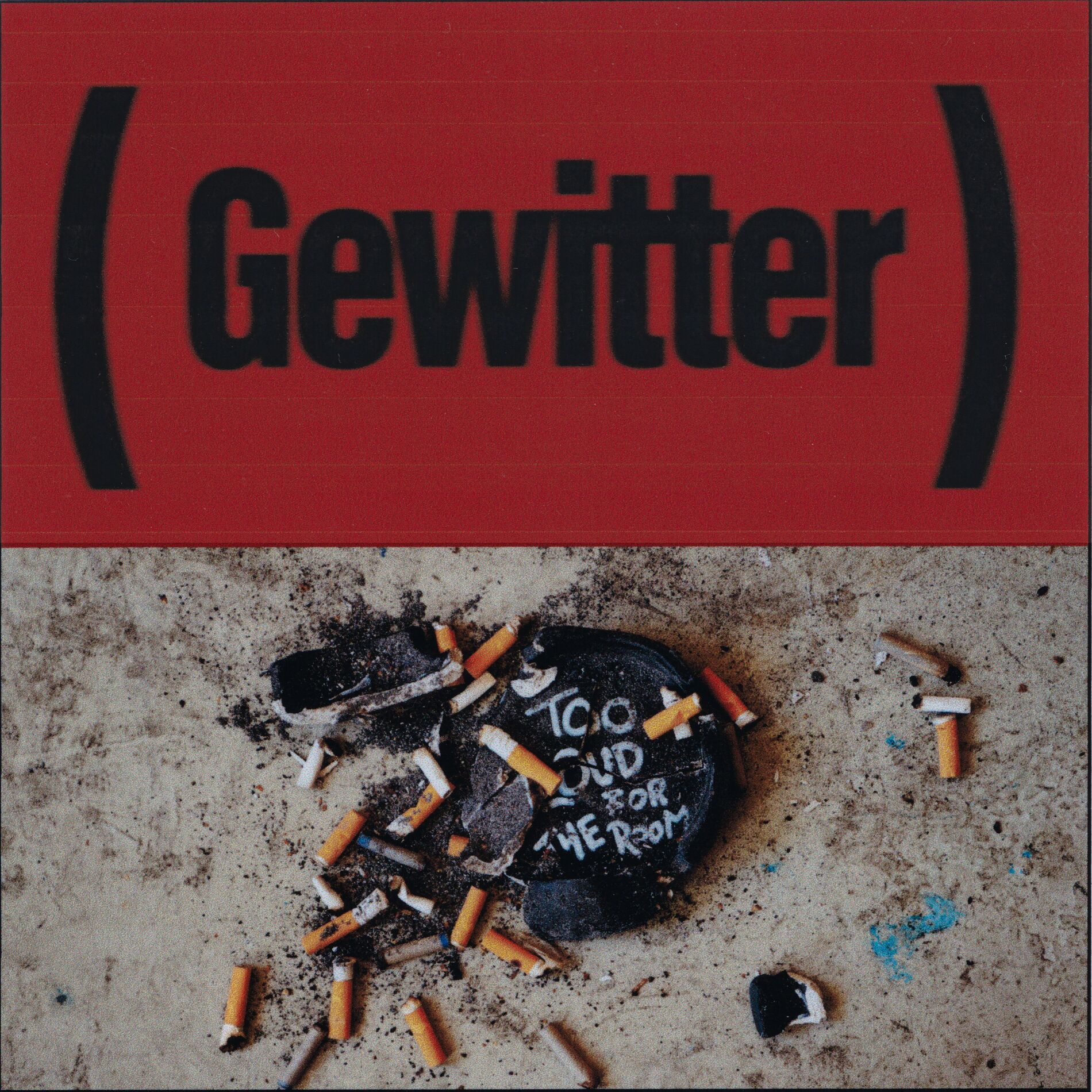Album cover of Gewitter