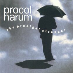 Cover of The Prodigal Stranger