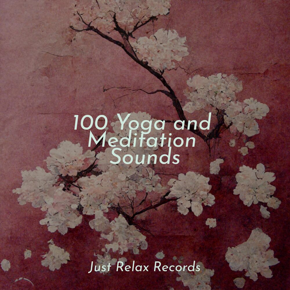 Picture of 100 Yoga and Meditation Sounds