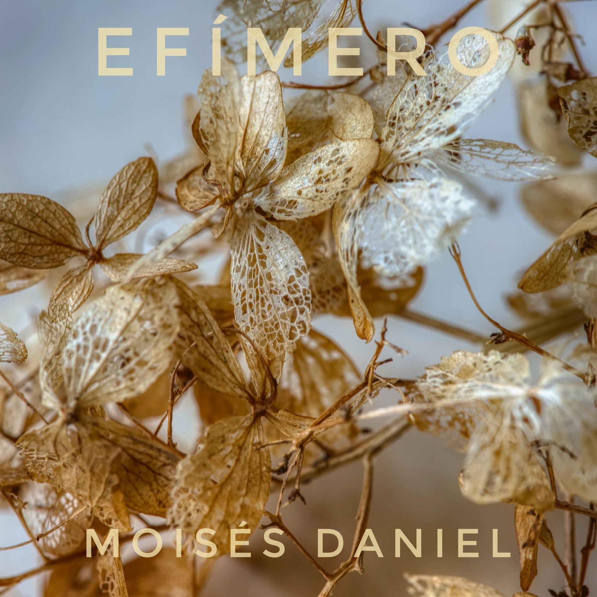 Album cover of Efímero