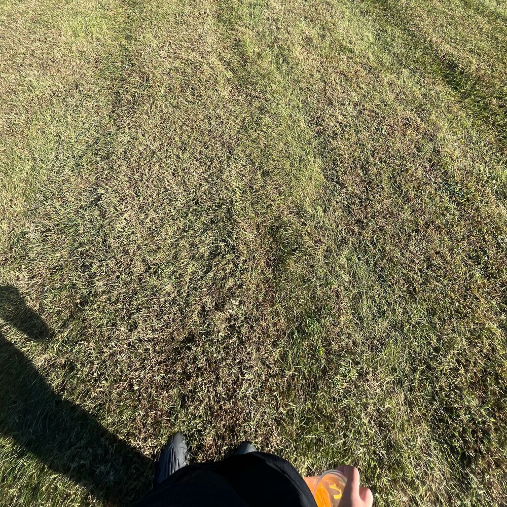 Picture of Workout