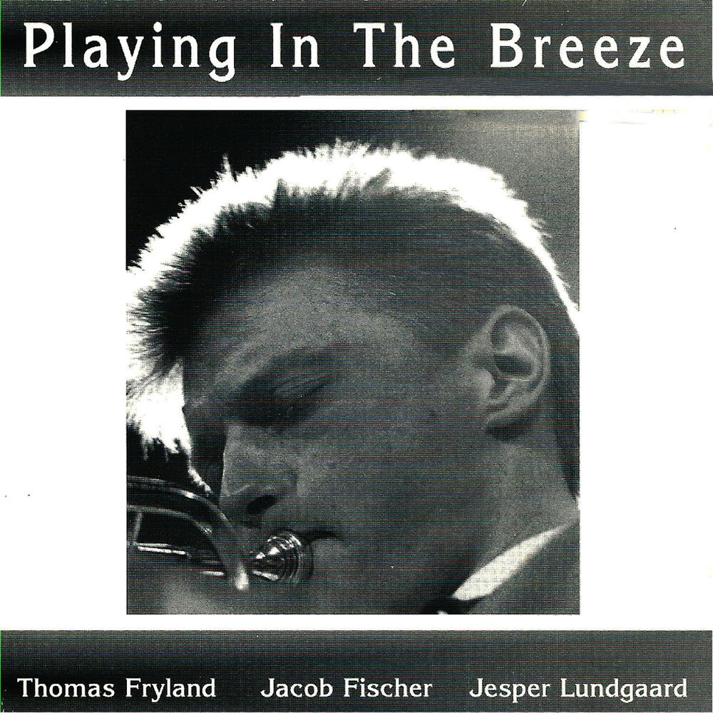 Picture of Playing in the Breeze (feat. Jacob Fischer & Jesper Lundgaard)
