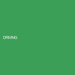 Cover of Driving
