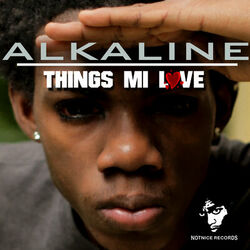 Cover of Things Mi Love