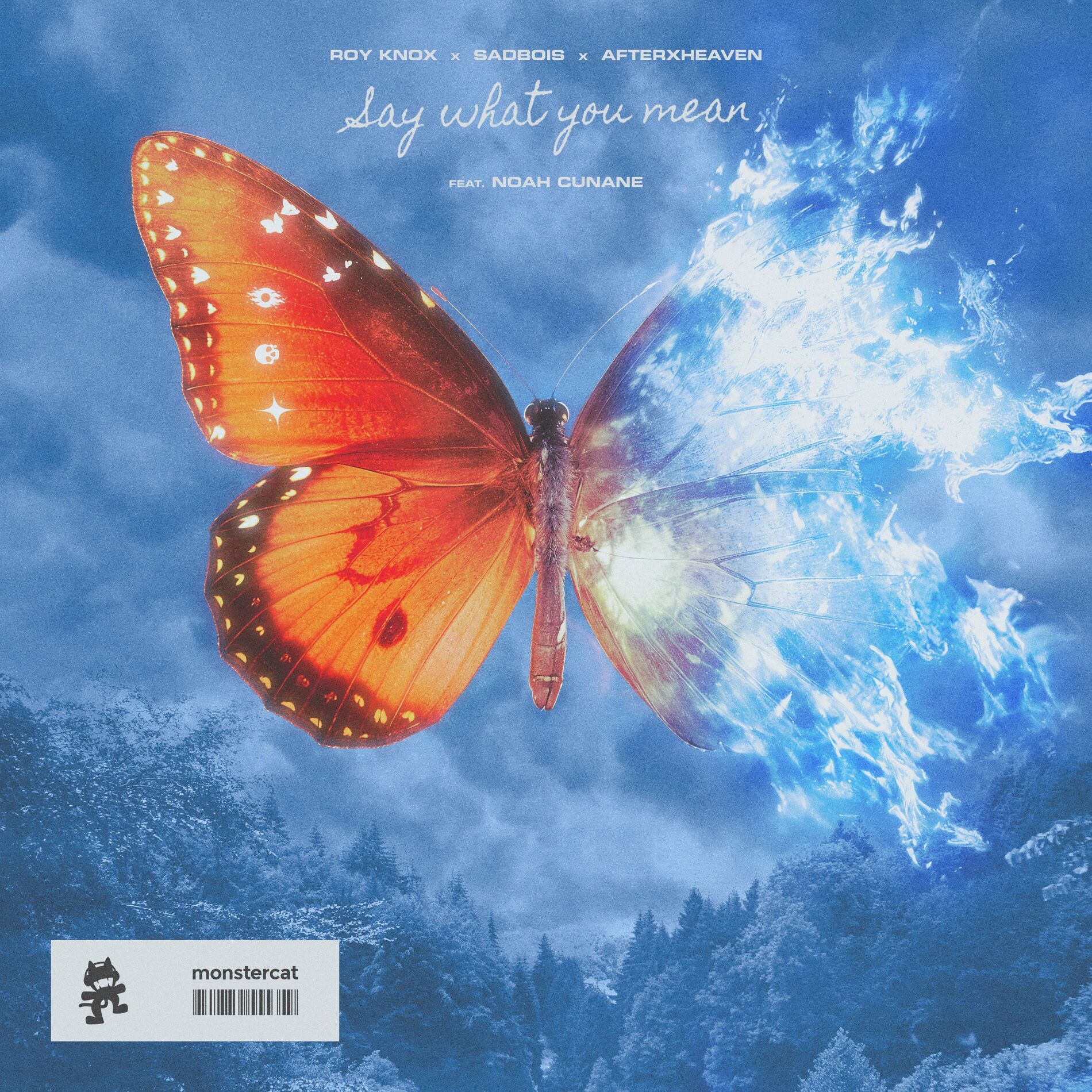 Album cover of Say What You Mean