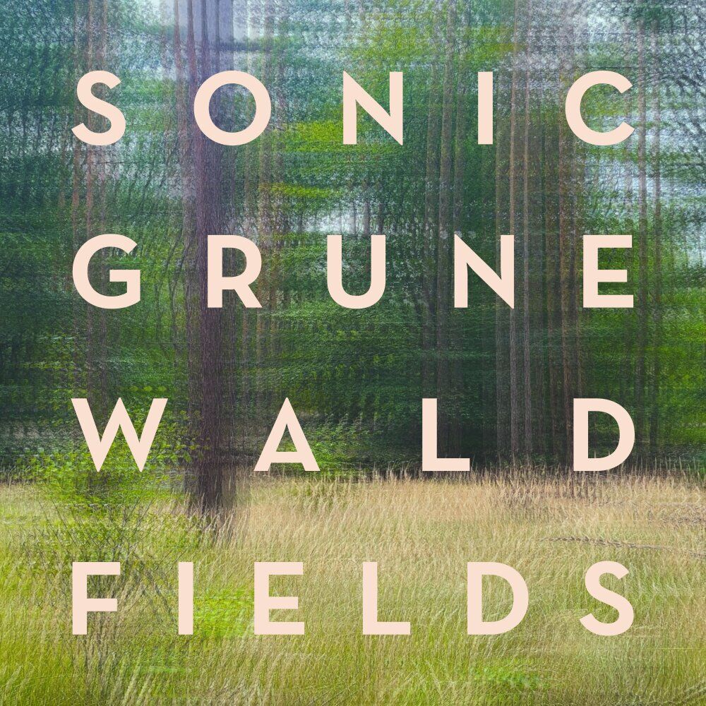 Picture of Sonic Grunewald Fields
