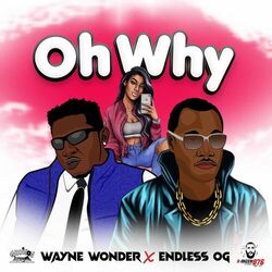 Cover of Oh Why (Rework)