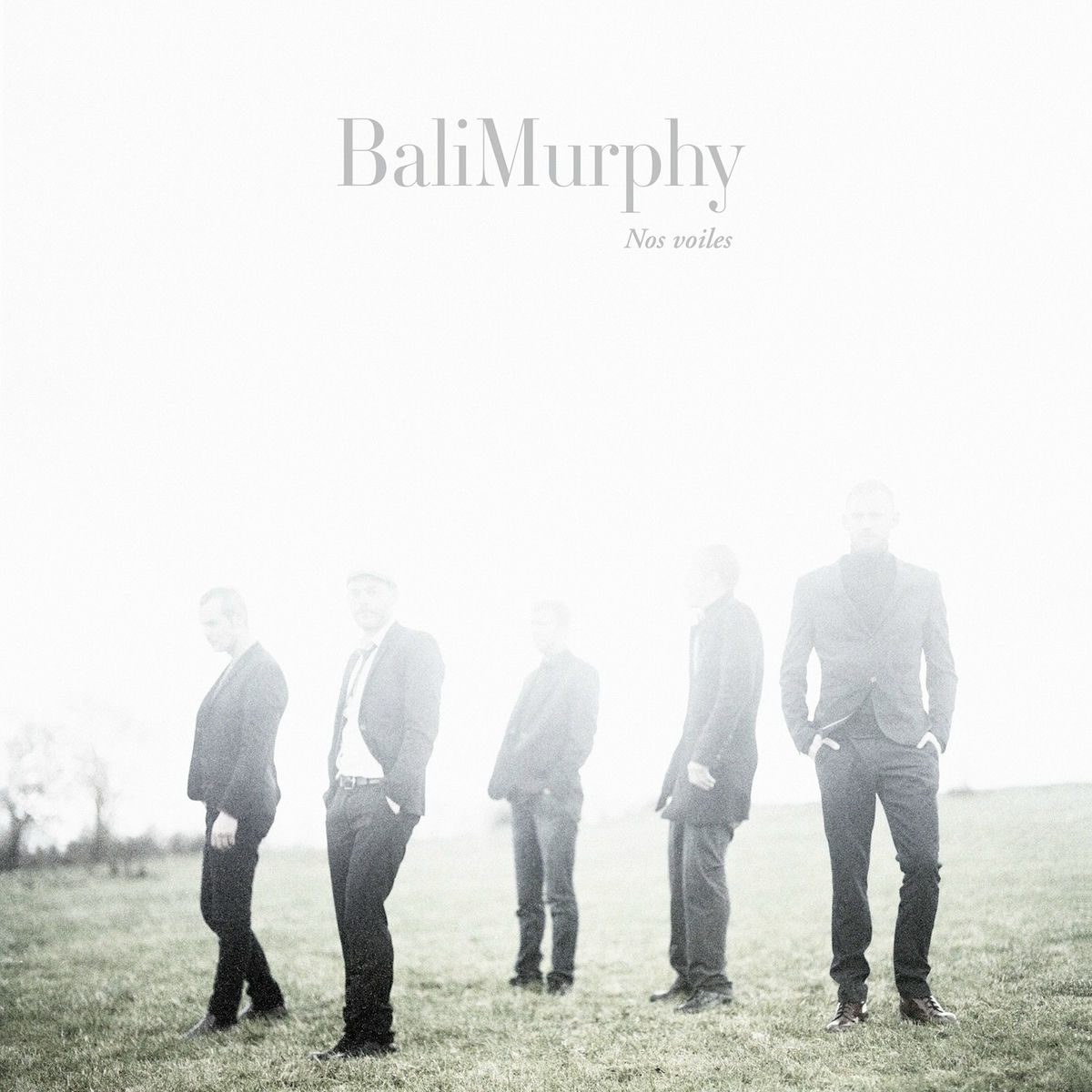 Album cover of Nos voiles