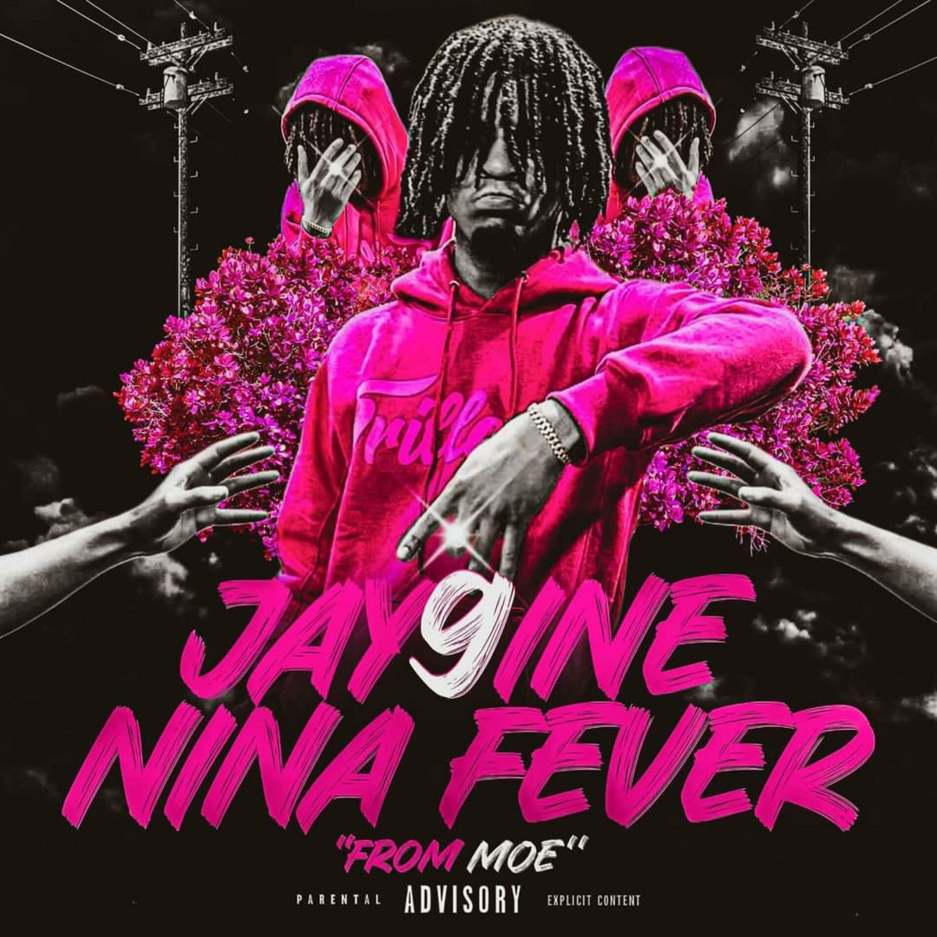 Album cover of NINA FEVER