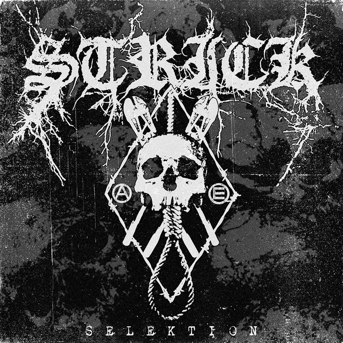 Album cover of Selektion