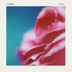 Cover of lumina