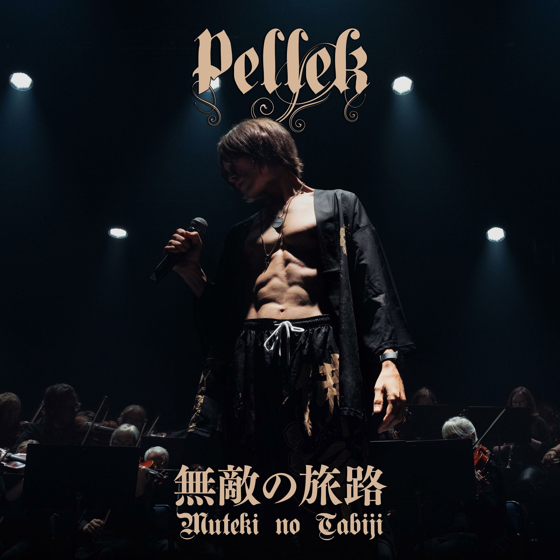 Album cover of Muteki no Tabiji