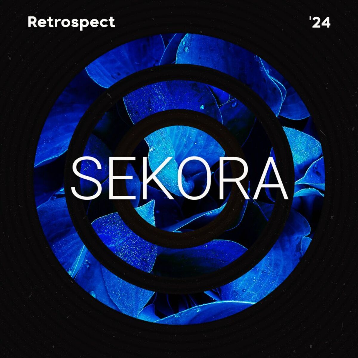 Album cover of Sekora in Retrospect 2024