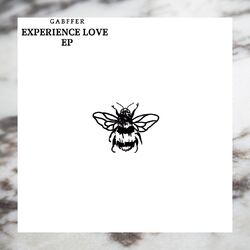 Cover of Experience Love EP