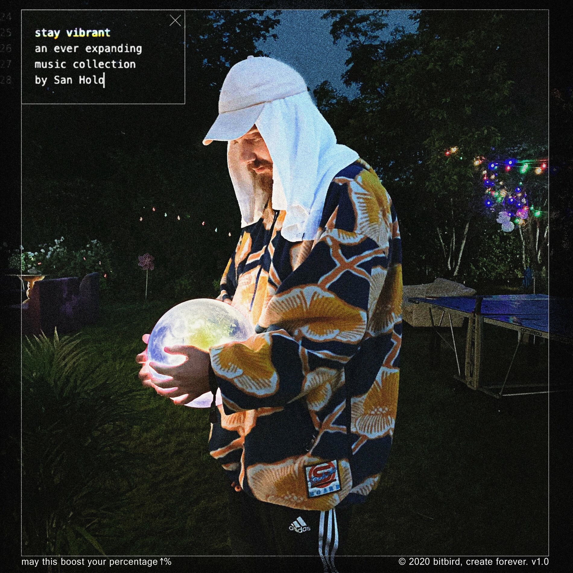 Album cover of stay vibrant