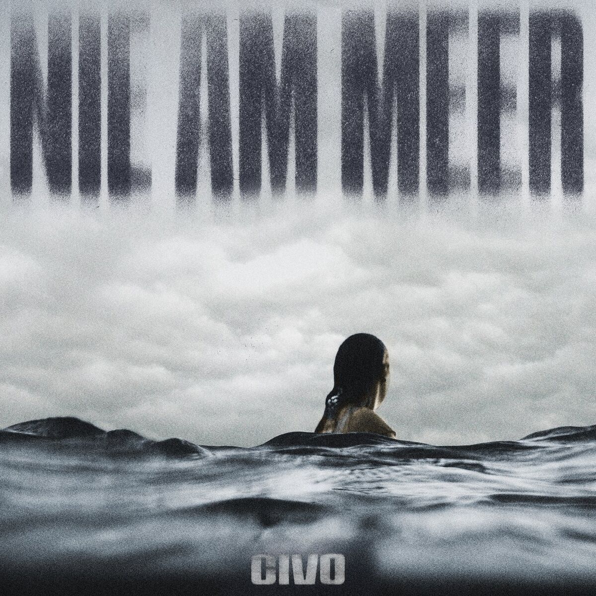 Album cover of Nie am Meer