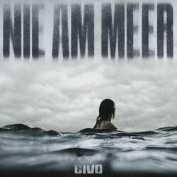 Cover of Nie am Meer