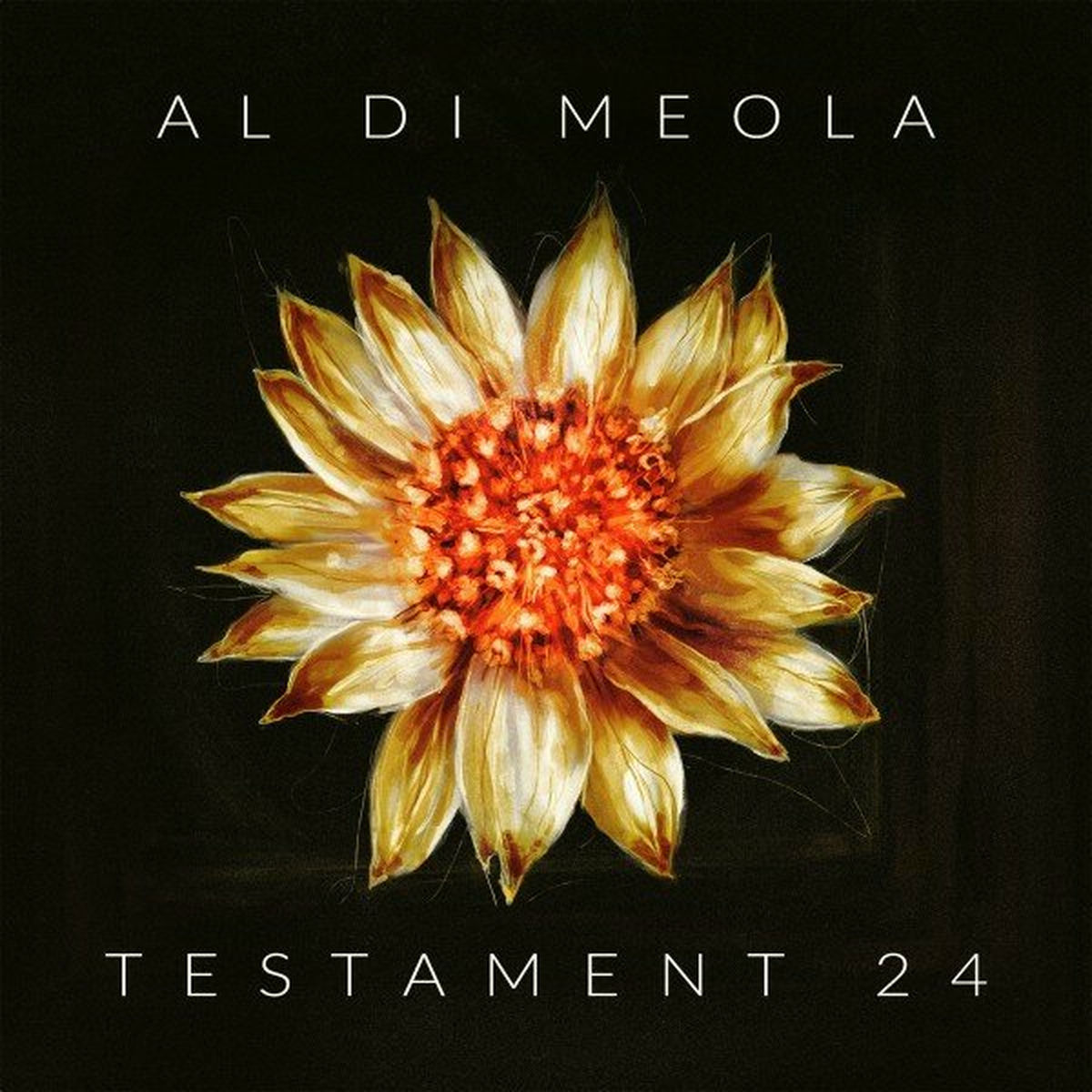 Album cover of Testament 24