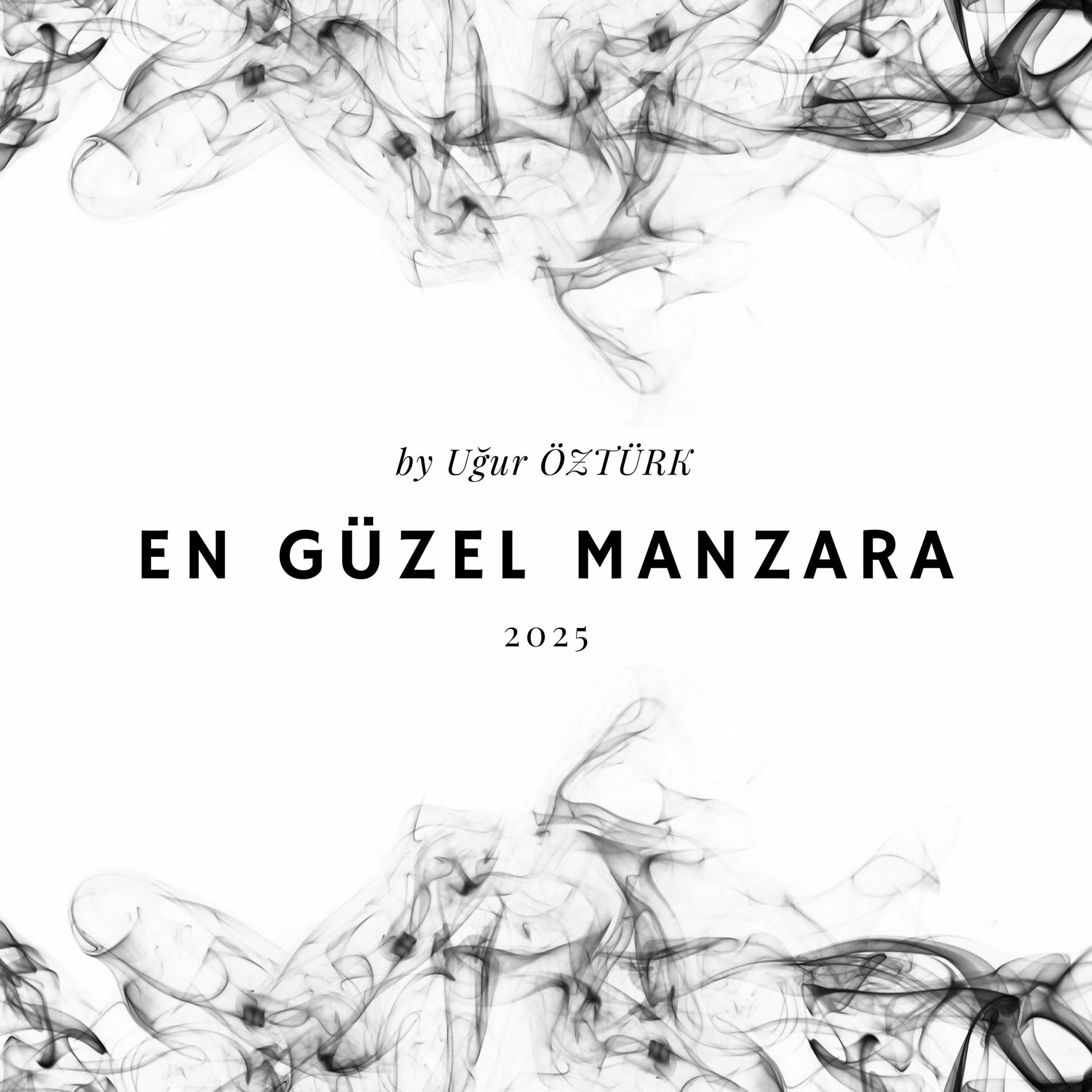 Album cover of En Güzel Manzara