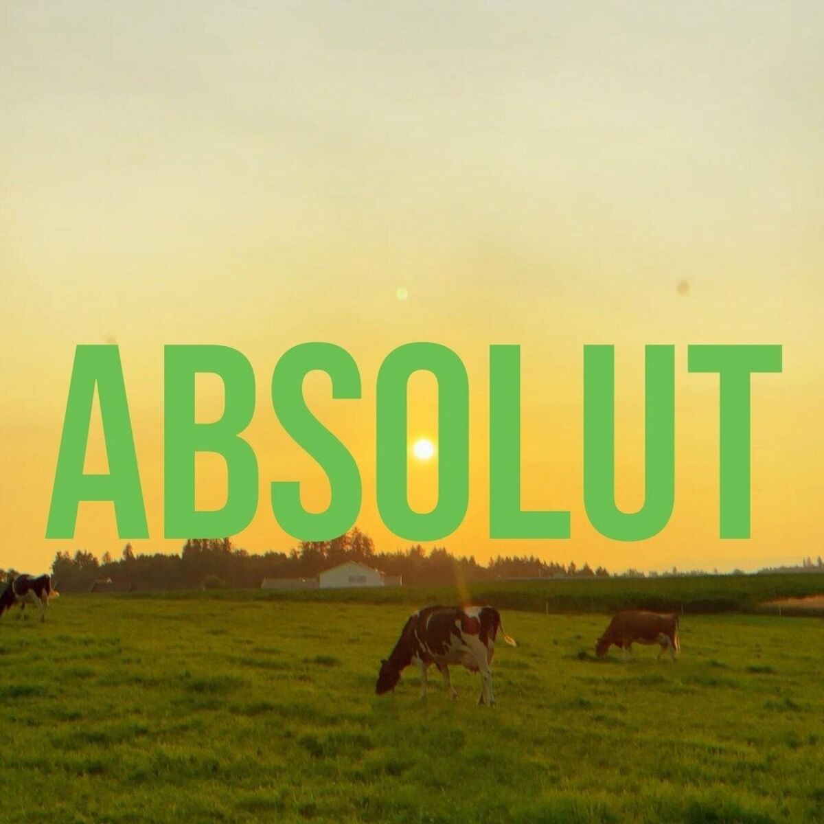 Album cover of Absolut