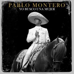 Cover of Yo Busco Una Mujer