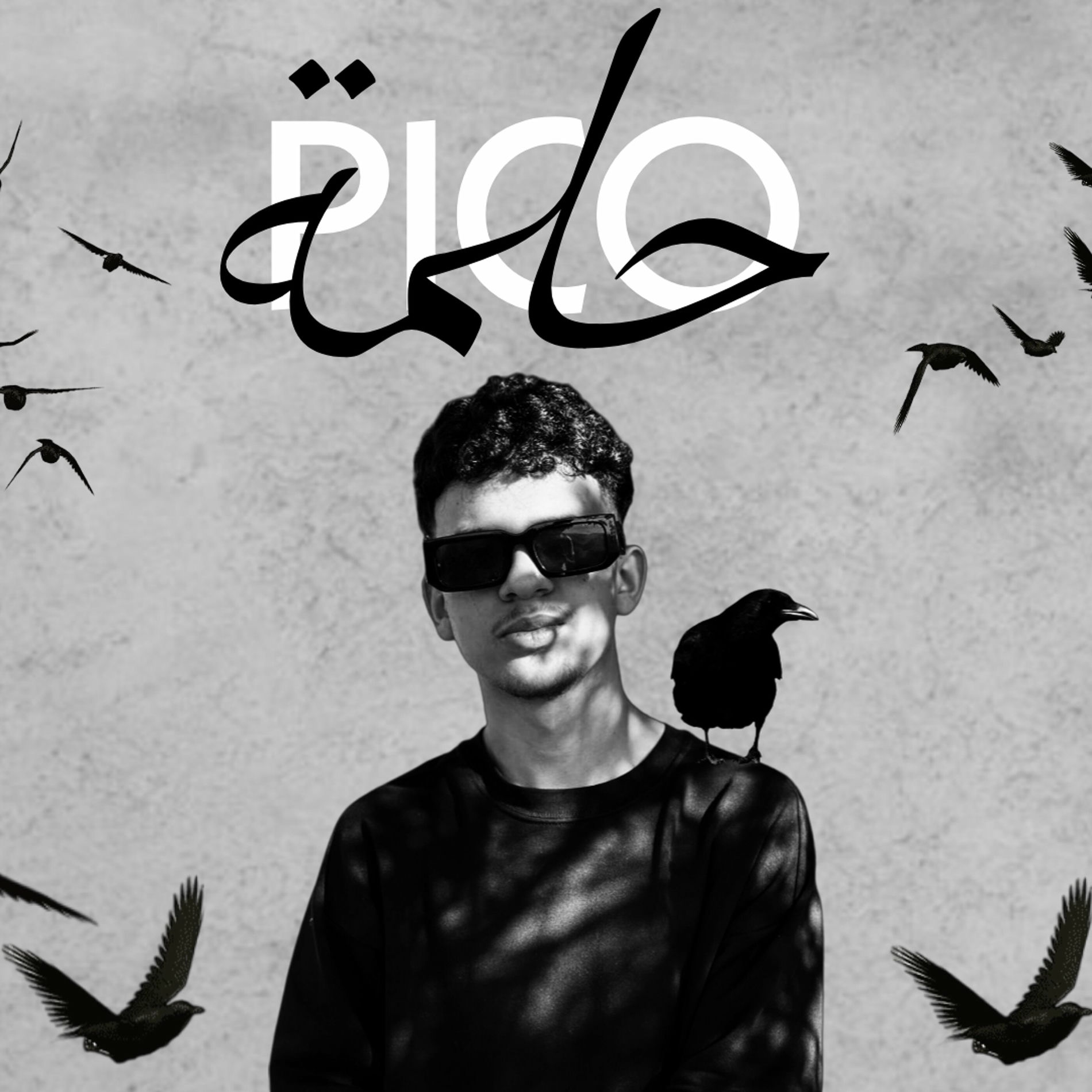 Album cover of 7ELMA
