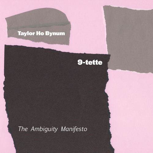 9-tette: The Ambiguity Manifesto sleeve