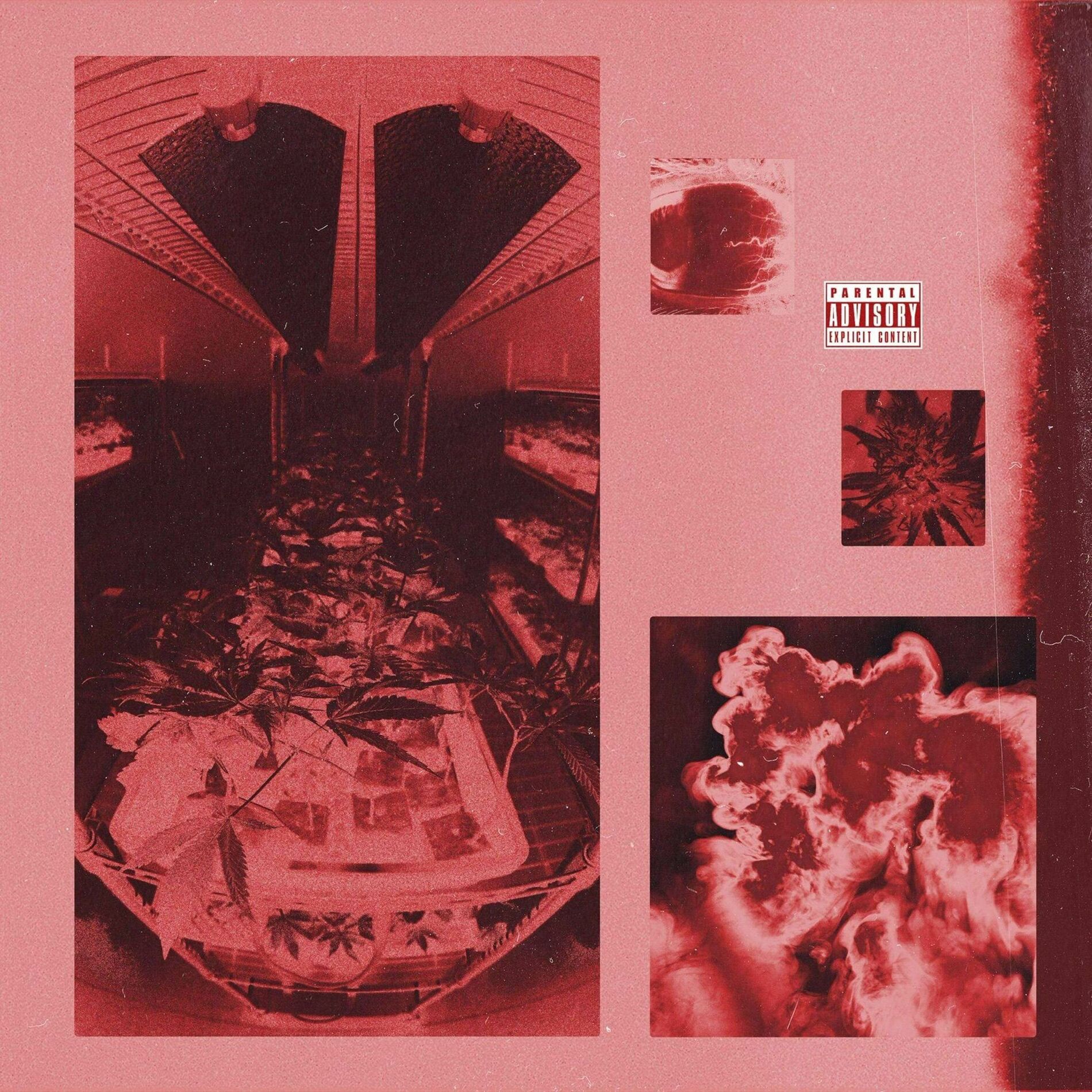Album cover of BLUNT FORCE TRAUMA