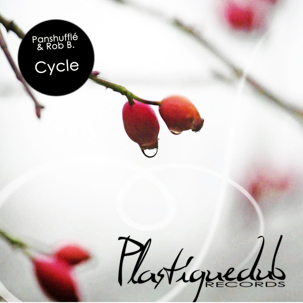 Picture of Cycle