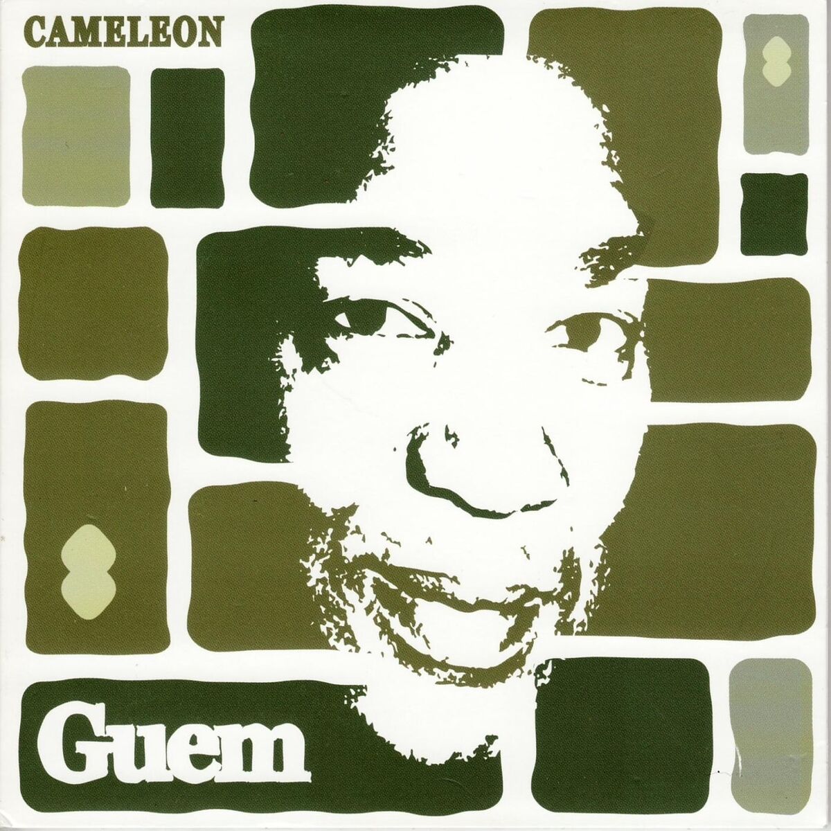 Album cover of Cameleon