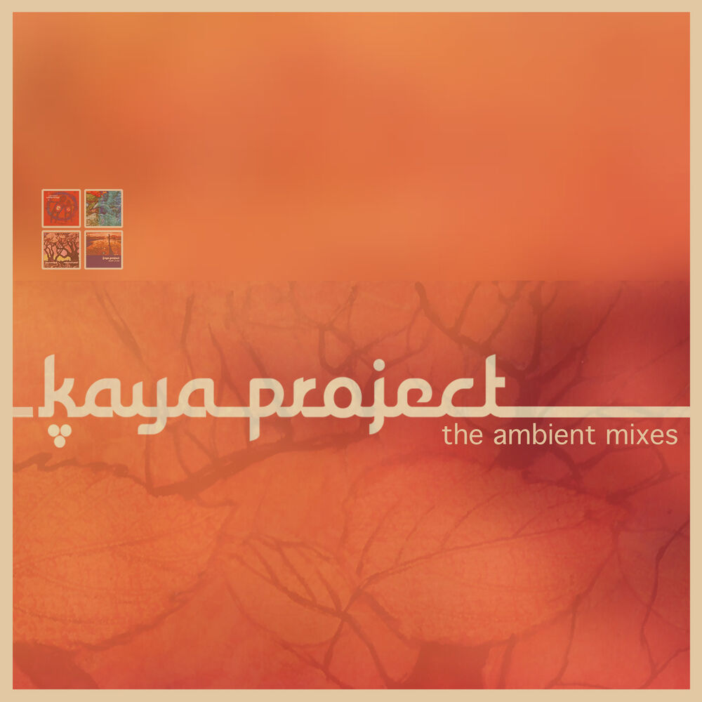 Picture of The Ambient Mixes