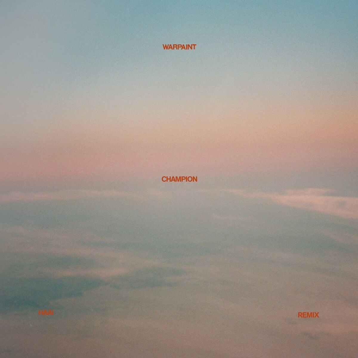 Album cover of Champion