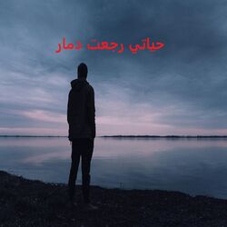 Cover of حياتي رجعت دمار