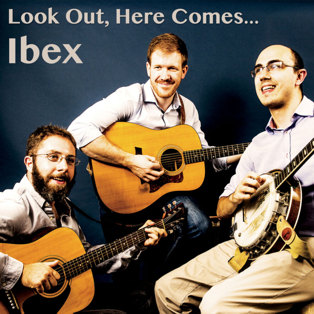Picture of Look Out, Here Comes...