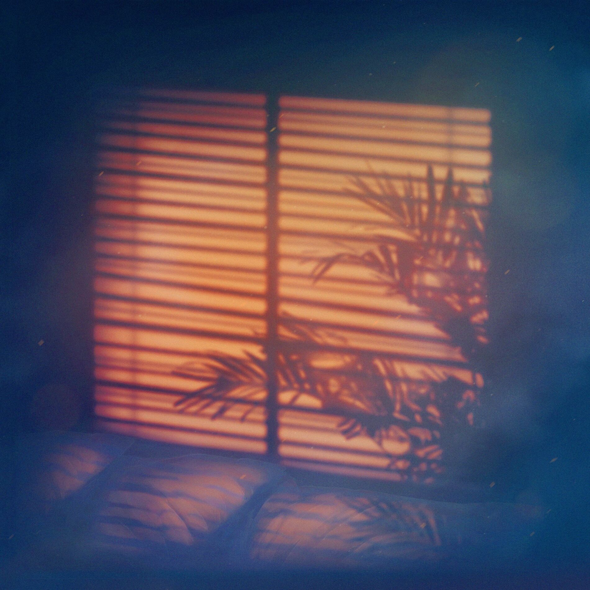 Album cover of nocturnes