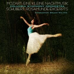 Cover of Mozart: Eine Kleine Nachtmusik & Schubert: Rosamunde Excerpts