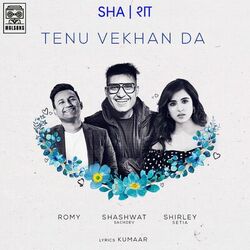 Cover of Tenu Vekhan Da