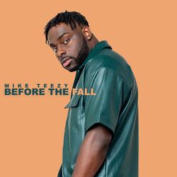 Cover of Before the Fall