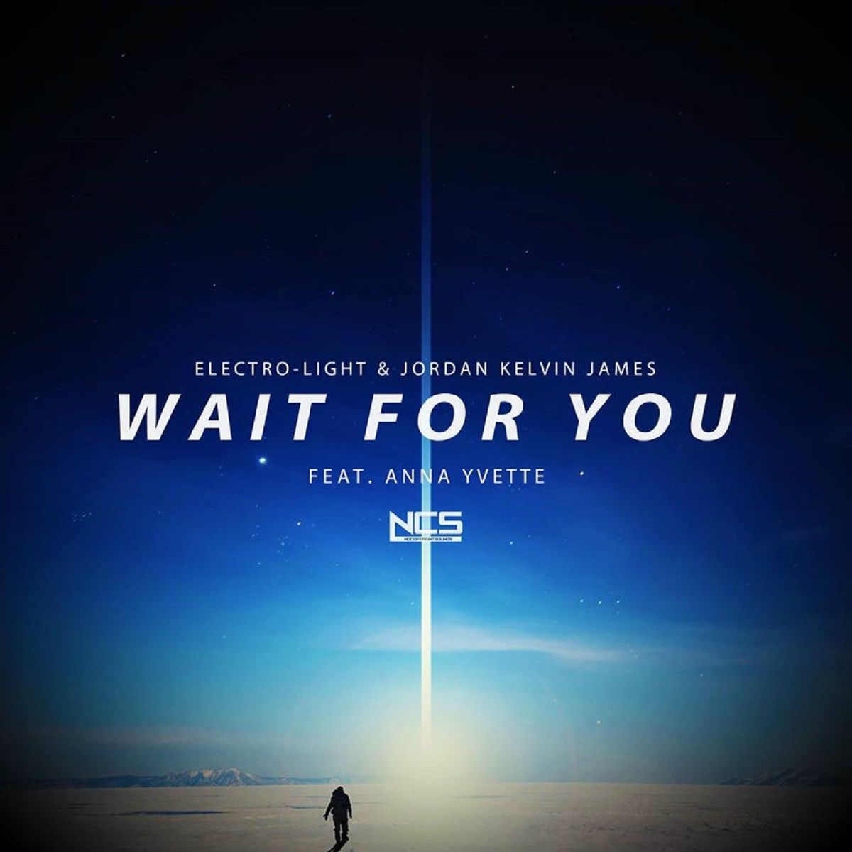 Album cover of Wait For You