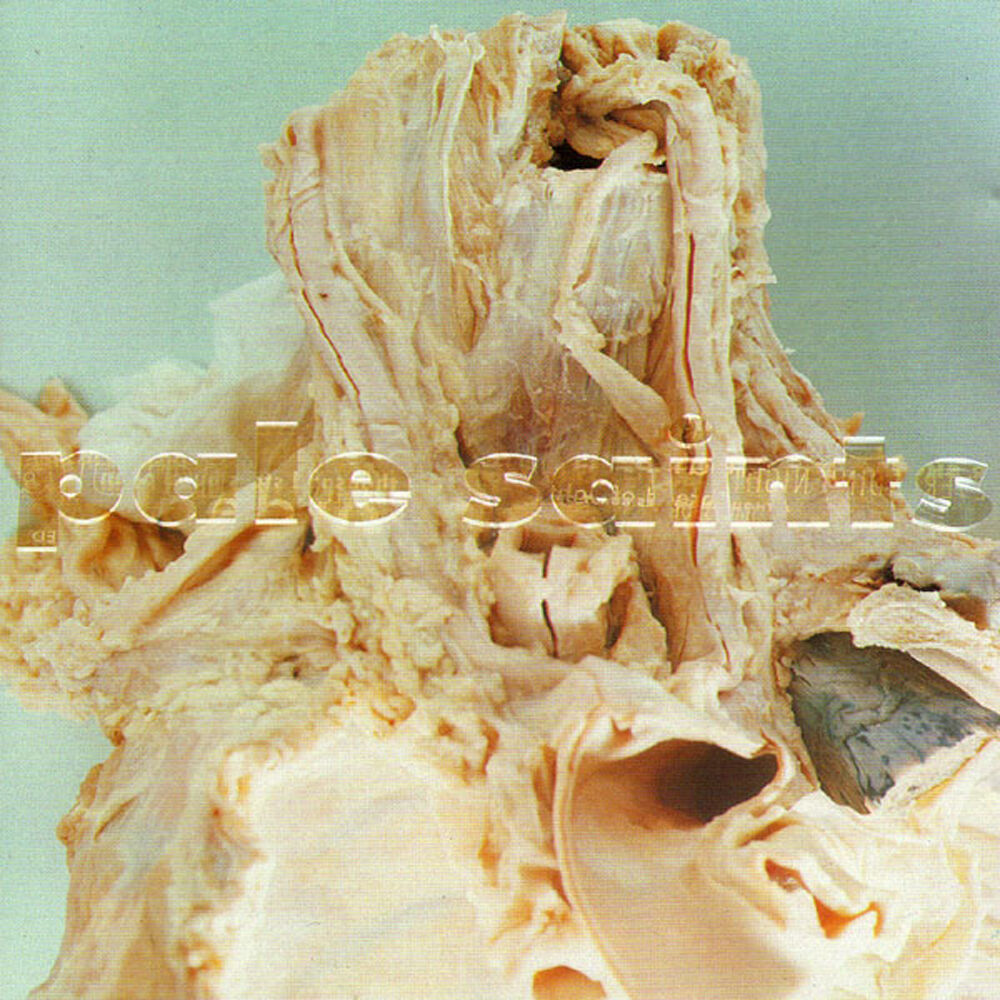 Picture of In Ribbons