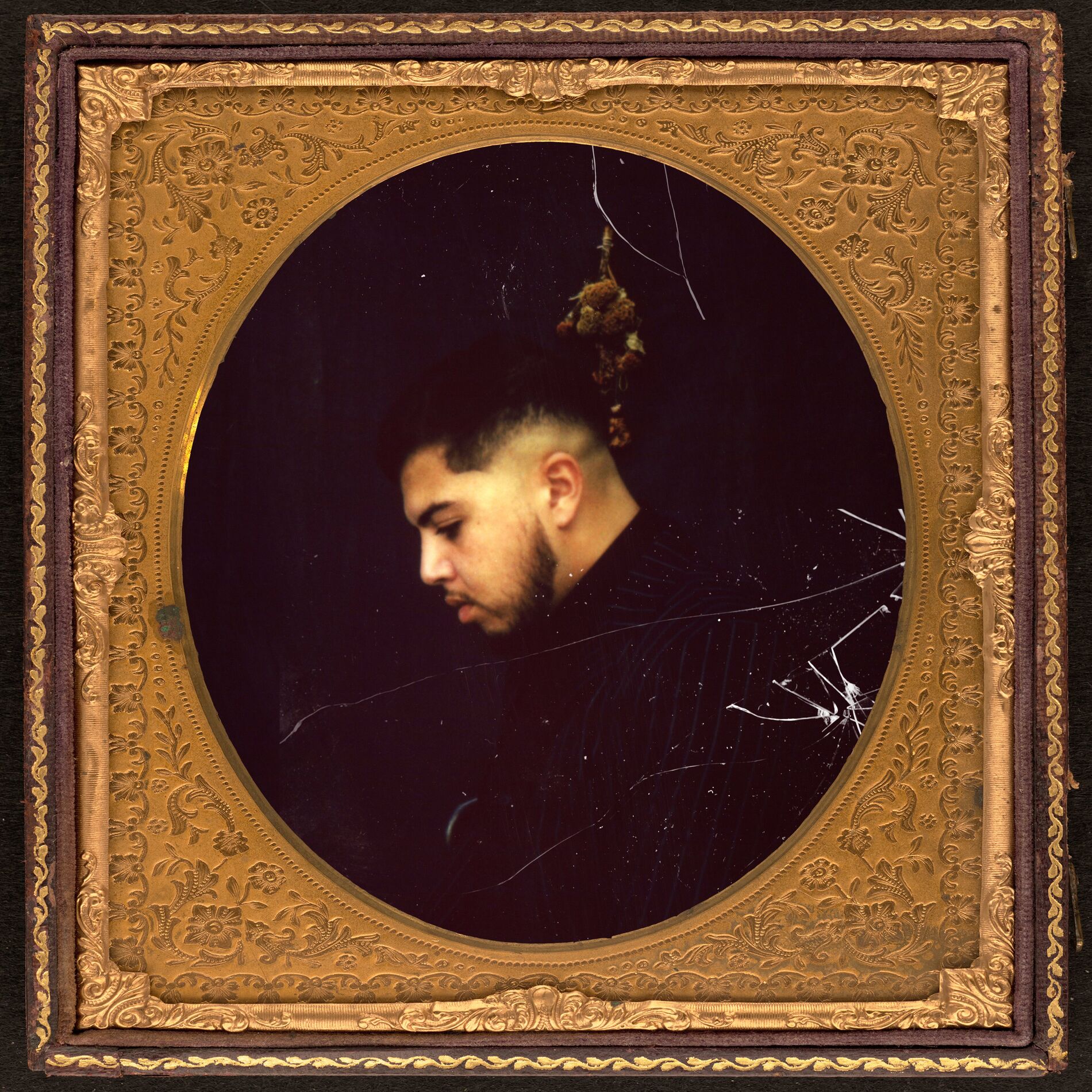 Album cover of Nocif
