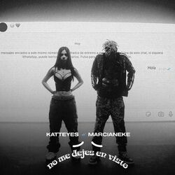 Cover of No Me Dejes en Visto