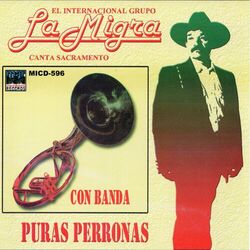 Cover of Puras Perronas Con Banda